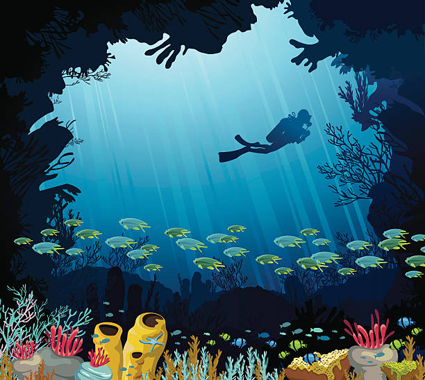 подводная жизнь-коралловый риф и рыба diver - wildlife aquatic beauty in nature tropical climate stock illustrations