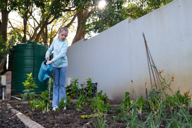 istock Young girl watering the vegetable garden 1593756821