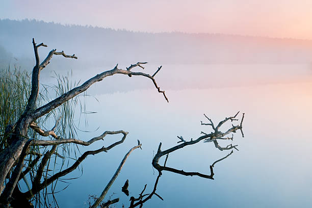 istock Morning fog over river 159378374