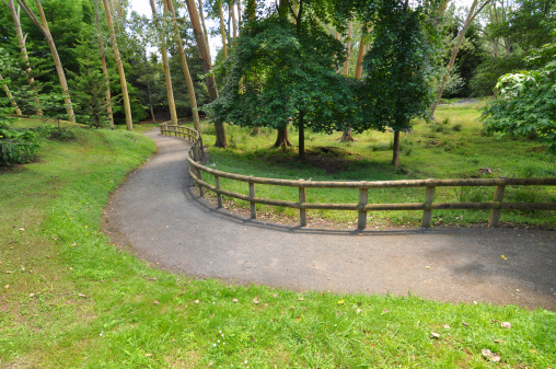 A path along the Taitua Arboretum in New Zealand.