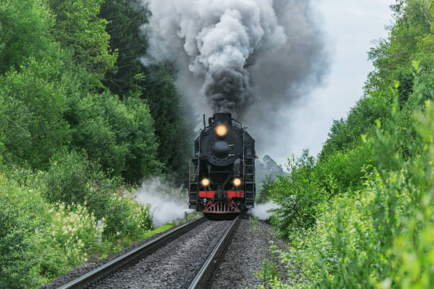 istock Retro steam train moves in the forest. 1593818187