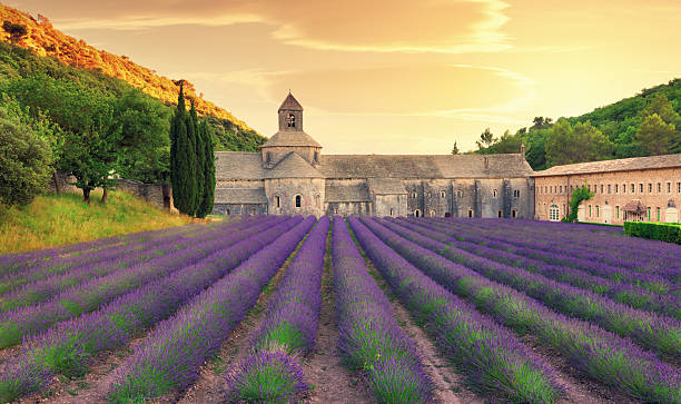 abbey mit blühender lavendel-feld in der dämmerung - romanesque stock-fotos und bilder