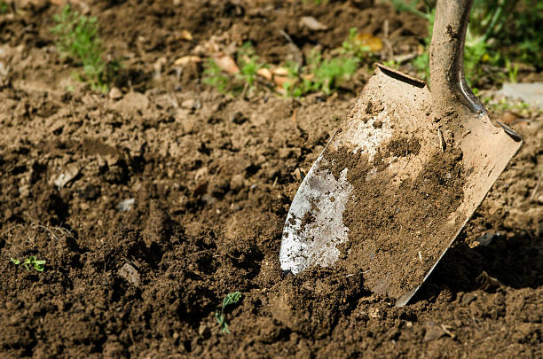 istock shovel in the ground 159386478