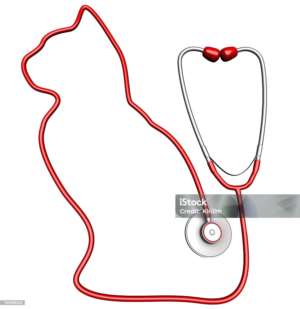 Cat-shaped stethoscope Cat-shaped stethoscope. Pet health care concept Animal Stock Photo