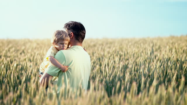 Beautiful scene of dad and toddler son in fresh wheat field. Happy father and baby boy embracing, smiling. Family, love, childhood concept.