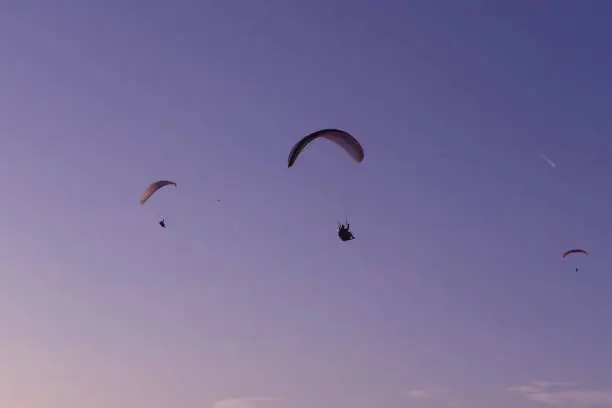 Photo of paragliding pilots soaring flying in the twilight sky, purple blue pink sunset colors, many sportsmen