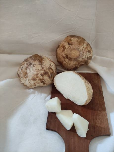 istock Fresh white sweet potato 1593962318