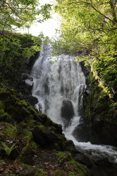 istock Sobetsu waterfall in May, Hokkaido Japan 1593964389