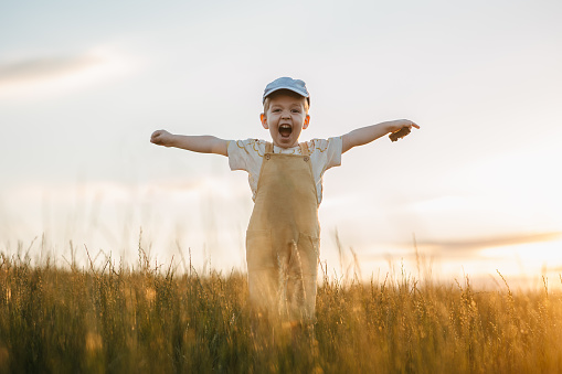 A little boy with outstretched arms screaming with happiness on a meadow at sunset. Happy childhood on countryside