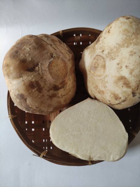 istock Fresh white sweet potato 1593983932