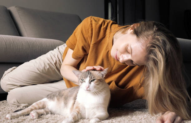 istock Happy cat At Home With Their Owner 1593998972