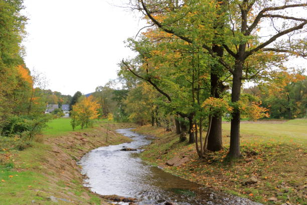 herbstlandschaft bei dippoldiswalde in sachsen, deutschland - cirrostratus nobody field autumn stock-fotos und bilder