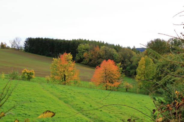 herbstlandschaft bei dippoldiswalde in sachsen, deutschland - cirrostratus nobody field autumn stock-fotos und bilder