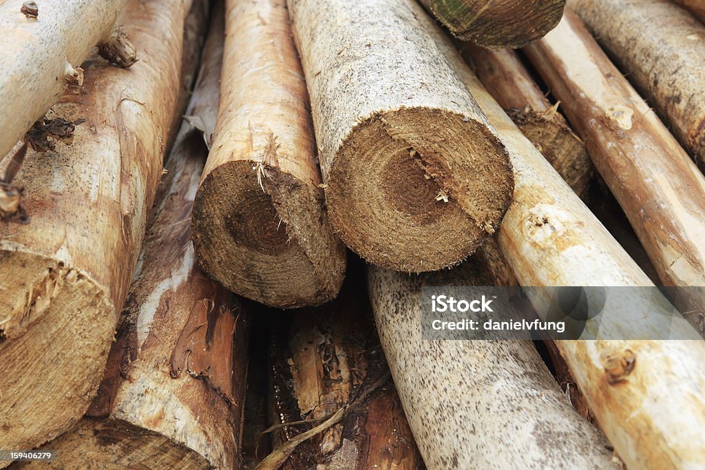 Охапка дров - Стоковые фото Без людей роялти-фри