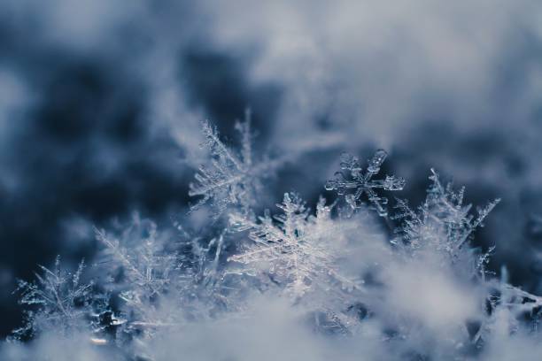 istock Close-up of snowflakes 1594062805