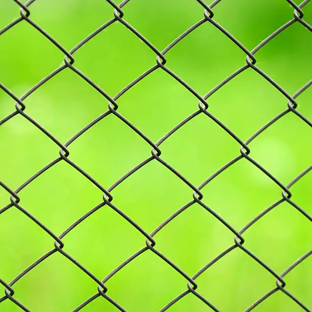 A close-up of wire mesh (chain-link) fence with diamond patterning against a green background