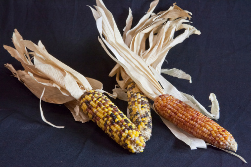In the US Indian Corn is symbolic of the Atumn season
