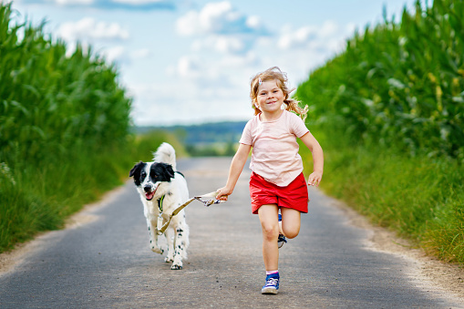 Preschool Happy Girl kid with dog running on nature. Positive smiling child and best pet friend on sunny summer day. Family animal and children, love and friendship.
