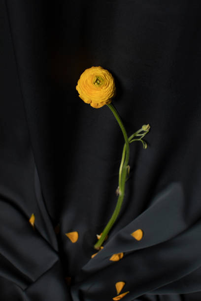 Die fallende Blume – Foto