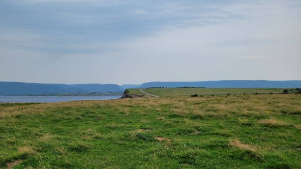 istock Meadow of the island (2) 1594118469