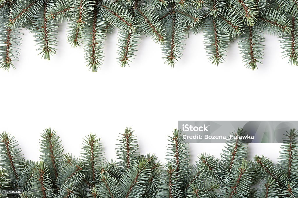 Weihnachten Frame - Lizenzfrei Ast - Pflanzenbestandteil Stock-Foto