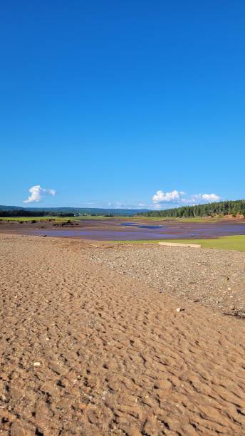 비치 오브 파이브 아일랜드 주립공원 (1) - nova scotia bay of fundy bay horizon over water 뉴스 사진 이미지