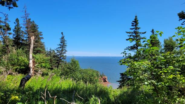 펀디 만의 전망대 (2) - nova scotia bay of fundy bay horizon over water 뉴스 사진 이미지