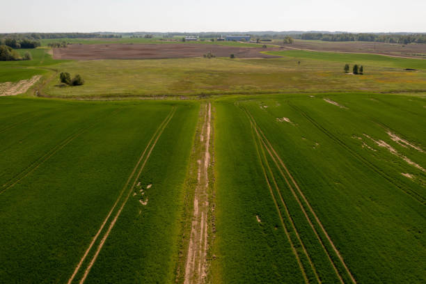 istock Drone photography of agriculture fields 1594155546