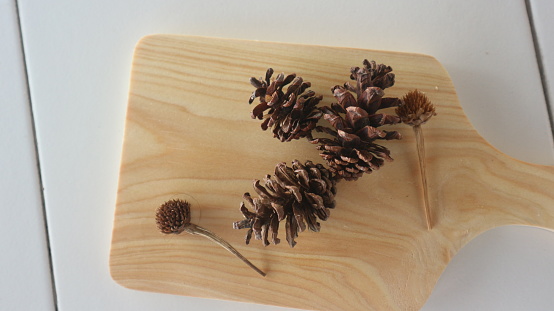 Pine acorns on a wooden plank
