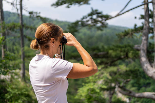 istock Mature female hiker using binocular while standing on view point in a forest 1594159623