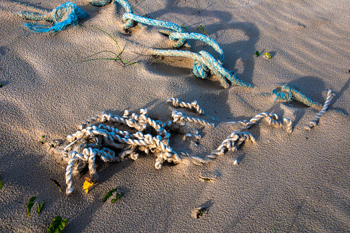 A thick rope or rope used for mooring boats on the beach sunk in the sand