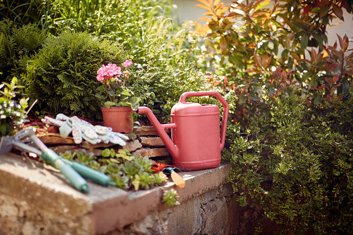 Collection of gardening tools and accessories. From sturdy shovels and pruning shears to colorful gardening gloves and watering cans, essential equipment needed to cultivate a flourishing garden.