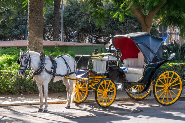 Malaga, Andalusia, Spain - July 29, 2023: Horse-drawn carriage parked next to the Plaza de la Marina, in the urban center of the city