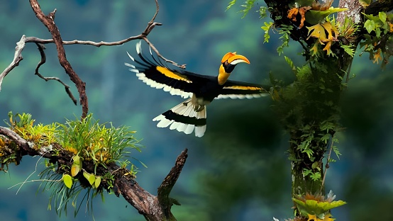 A big bird flies on a branch.
