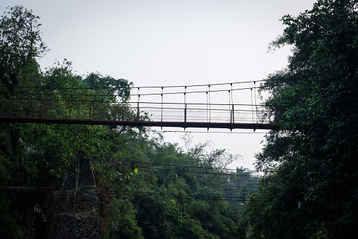 A suspension bridge in the forest connecting two regions.