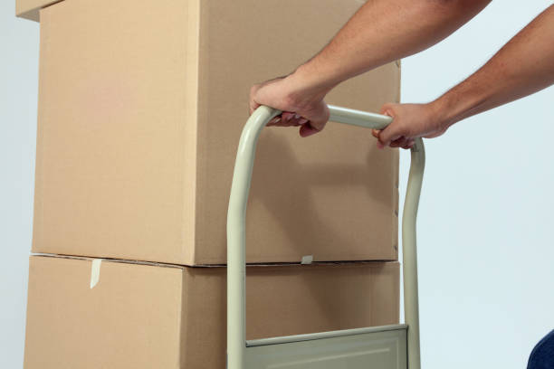 istock delivery man pushing a trolley with boxes 1594186926