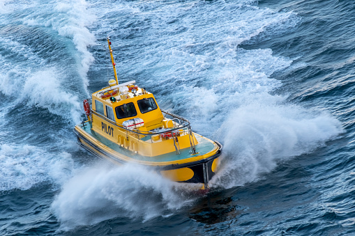 Pilot boat moving at speed on the sea.