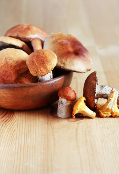 istock Mushrooms On Wood 1594198640