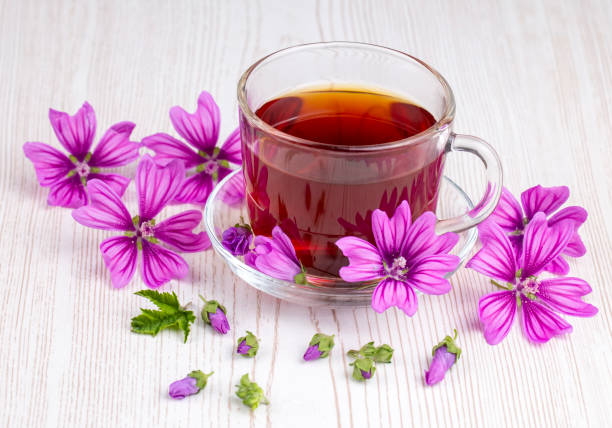 istock Mallow herb (Malva Vulgaris) mallow flower tea in cup. 1594209915