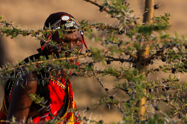 A safari ranger using binoculars to survey the area