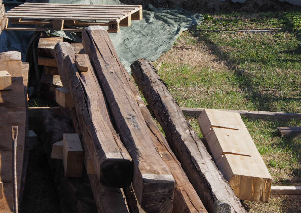 istock wooden logs and beams 1594250336
