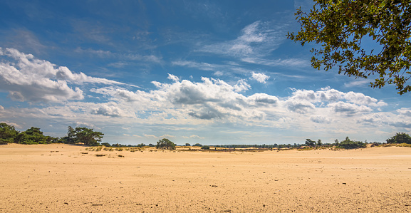 Panorama of the Aekingerzand sand dunes in the Drents-Friese wold nature reserve on a sunny day with some clouds