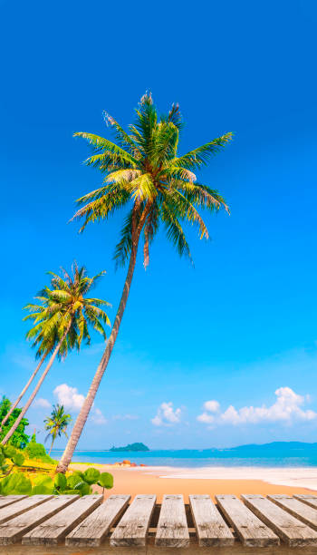empty old wood table and tropical beach with coconut palm tree in background. Beautiful summer destination