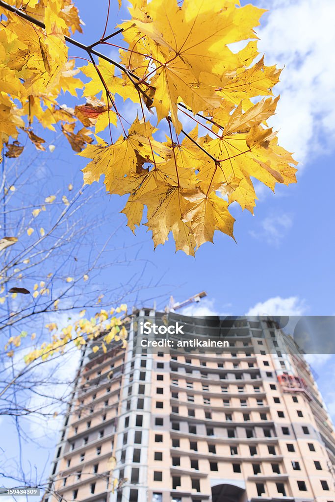 Arranha-céu em construção e Amarela de maples de brunch. - Foto de stock de Amarelo royalty-free