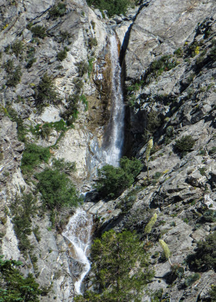 istock San Antonio Falls, San Gabriel Mountains, CA 1594378561