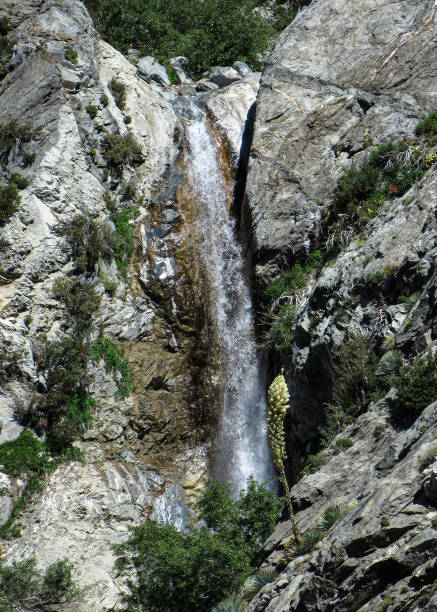 San Antonio Falls, San Gabriel Mountains, CA