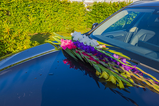 Close up view of colorful gladioluses on hood of black car.