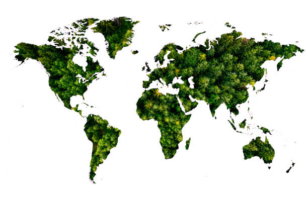 istock World map made up of various detailed trees on solid white background including the shadows. This 3D illustration of a forest is conceptual of the global green environmental issues worldwide. 1594397824
