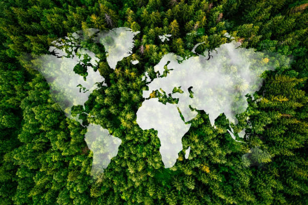 World map made up of various detailed trees on solid white background including the shadows. This 3D illustration of a forest is conceptual of the global green environmental issues worldwide. stock photo