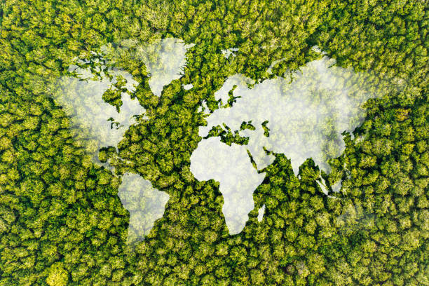 istock World map made up of various detailed trees on solid white background including the shadows. This 3D illustration of a forest is conceptual of the global green environmental issues worldwide. 1594397838